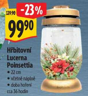Hřbitovní Lucerna Poinsettia 