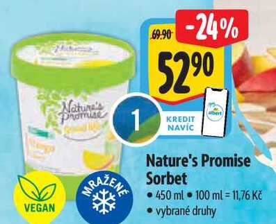 Nature's Promise Sorbet, 450 ml