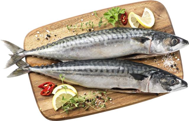 Makrela obecná celá, kuchaná