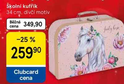 Školní kufřík 34 cm, dívčí motiv