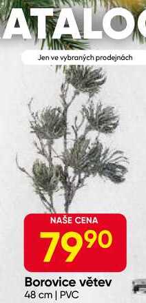 Borovice větev 48 cm | PVC