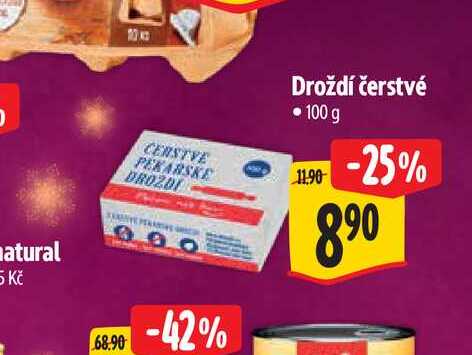 Droždí čerstvé  100 g 