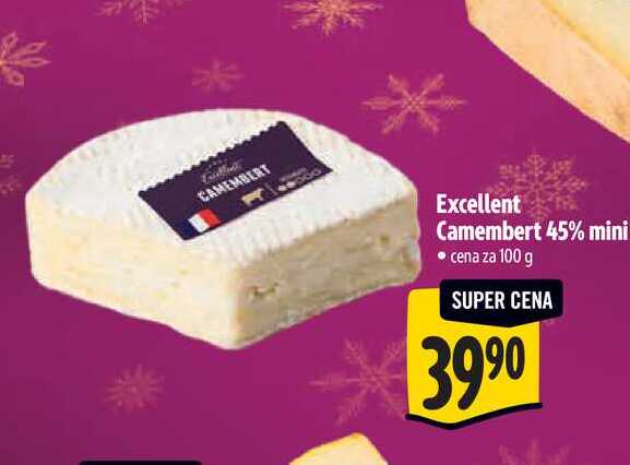 Excellent Camembert 45% mini 100 g