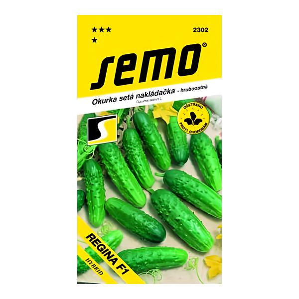 Semo Okurka setá nakládačka - hruboostná - REGINA F1