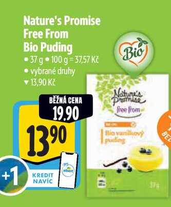 Nature's Promise Free From Bio Puding, 37 g