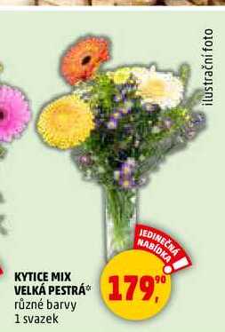 KYTICE MIX VELKÁ PESTRÁ, 1 svazek 