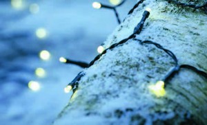 Venkovní světelný řetěz BAUGE