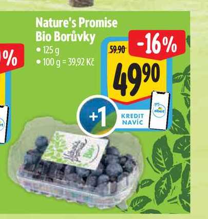 Nature's Promise Bio Borůvky 125 g  