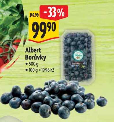 Albert Borůvky, 500 g