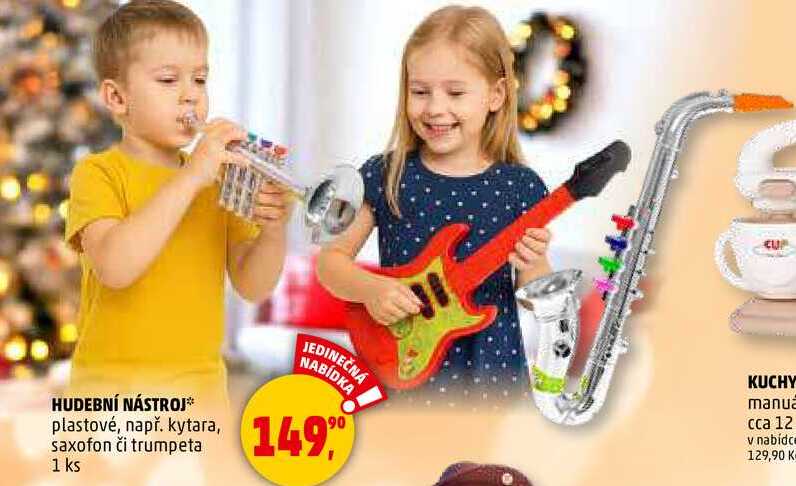 HUDEBNÍ NÁSTROJ, 1 ks 