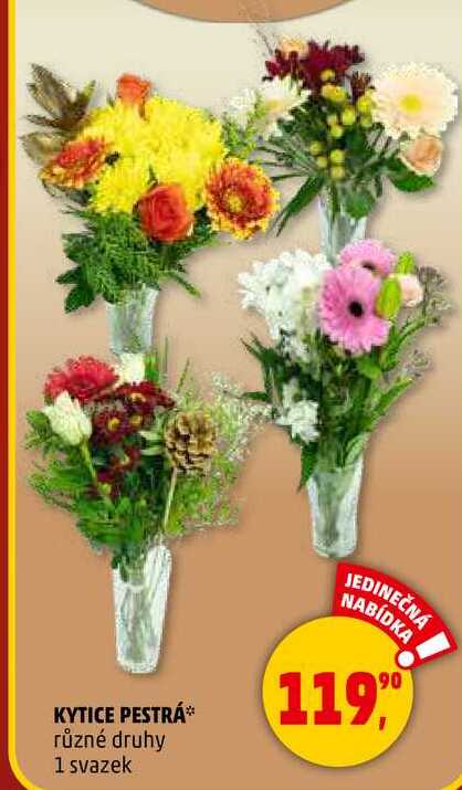 KYTICE PESTRÁ, 1 svazek