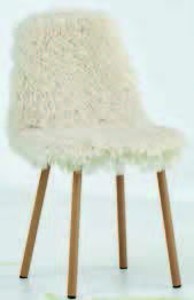 Jídelní židle JONSTRUP