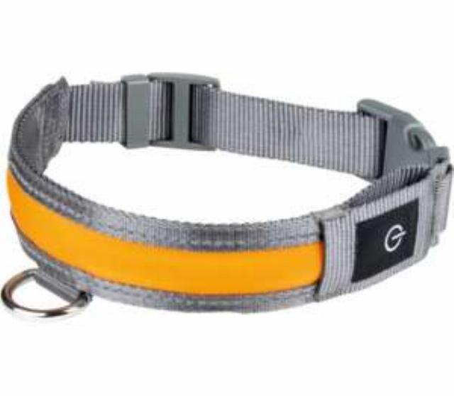 CARINURA Svíticí LED obojek délka: 47 – 55 cm