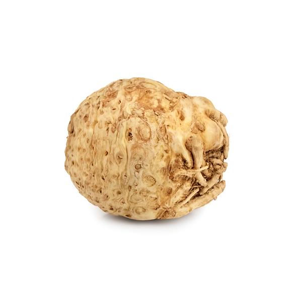 Celer bulvový praný, 1 ks