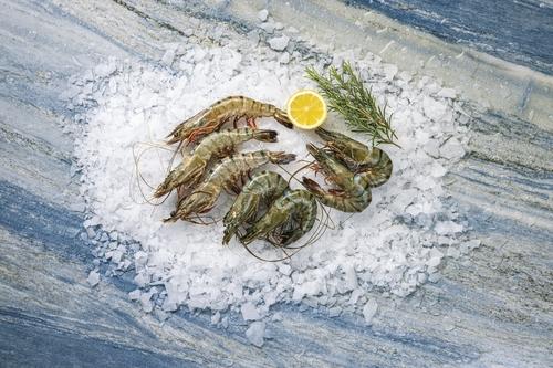 Kreveta tygří s hlavou, 1 kg