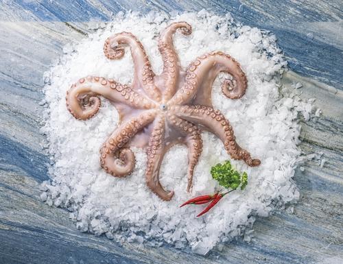 Chobotnice  obecná celá, 1 kg