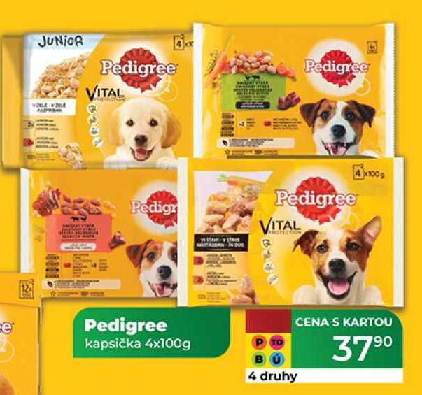 Pedigree kapsička 4x100g 