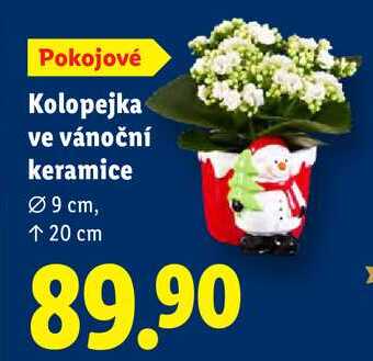 Kolopejka ve vánoční keramice