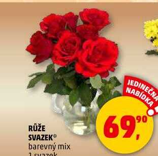 RŮŽE SVAZEK, 1 svazek 