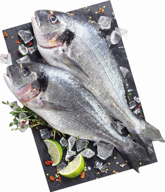 Pražma celá (Sparus aurata) 300 - 400 g