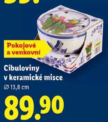 Cibuloviny v keramické misce