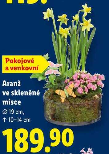 Aranž ve skleněné misce