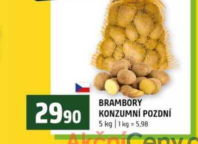 BRAMBORY KONZUMNÍ POZDNÍ 5 kg