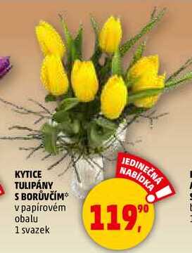 KYTICE TULIPÁNY S BORŮVČÍM, 1 svazek