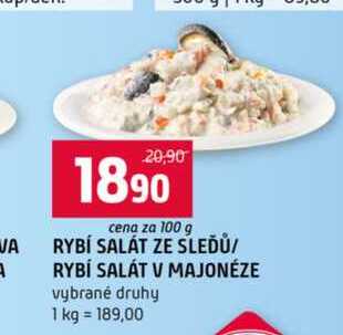RYBÍ SALÁT V MAJONÉZE vybrané druhy 100g