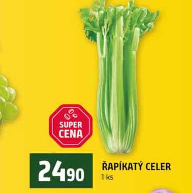 ŘAPÍKATÝ CELER 1 ks