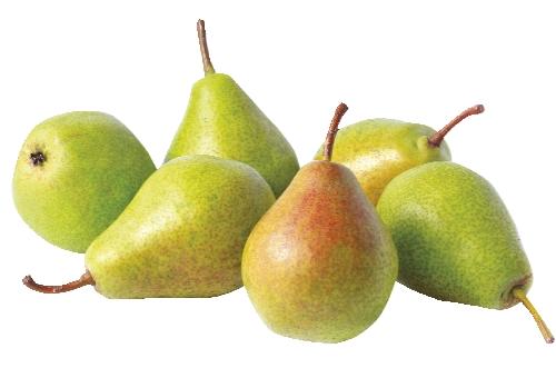 Hrušky Bohemica, 1 kg