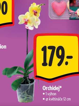 Orchidej