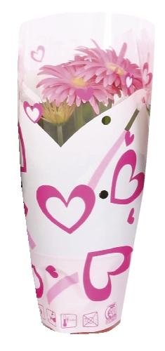 Gerbera v srdíčkové folii, 1 KS