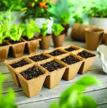 VÝSADBOVÉ KVĚTINÁČE HRANATÉ