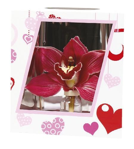 Orchidej v krabičce, 1 KS