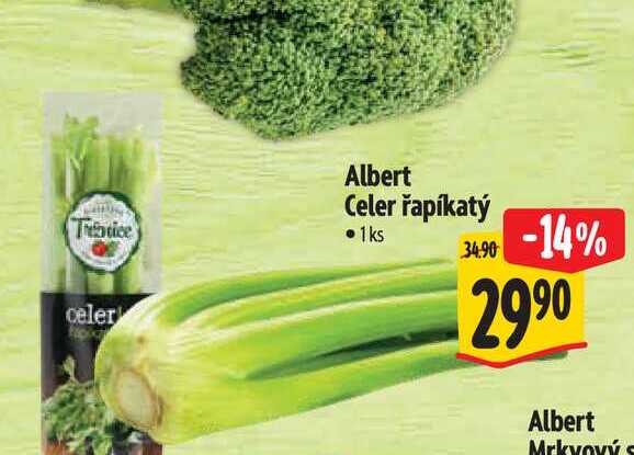  Albert Celer řapíkatý 1 ks