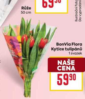 BonVia Flora Kytice tulipánů 1 svazek 