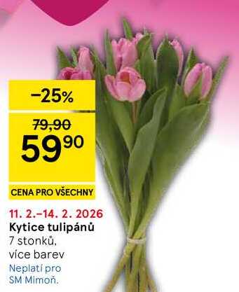 Kytice tulipánů, 7 stonků, více barev 