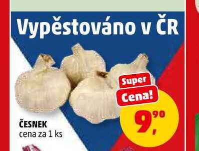 ČESNEK, 1 ks