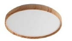 LED stropnice LEANA 2