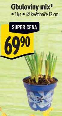 Cibuloviny mix