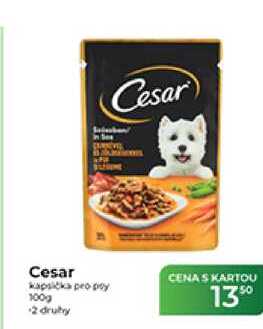 Cesar kapsička pro psy 100 g