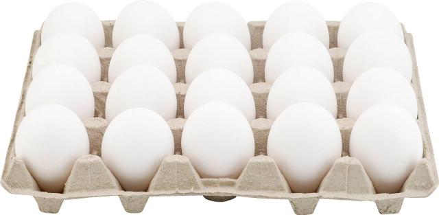 Čerstvá vejce M20 podestýlková