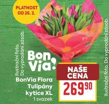 BonVia Flora Tulipány kytice XL 1 svazek 