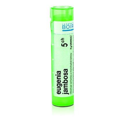 Eugenia jambosa 5CH granule 4g