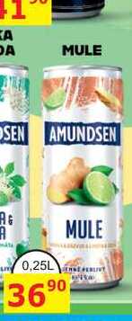 AMUNDSEN MULE 0,25L míchaný nápoj