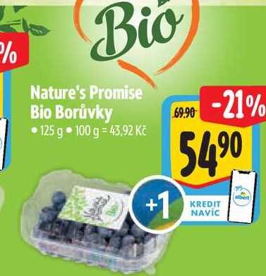  Nature's Promise Bio Borůvky 125 g  