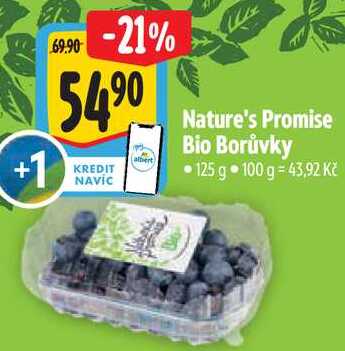 Nature's Promise Bio Borůvky, 125 g
