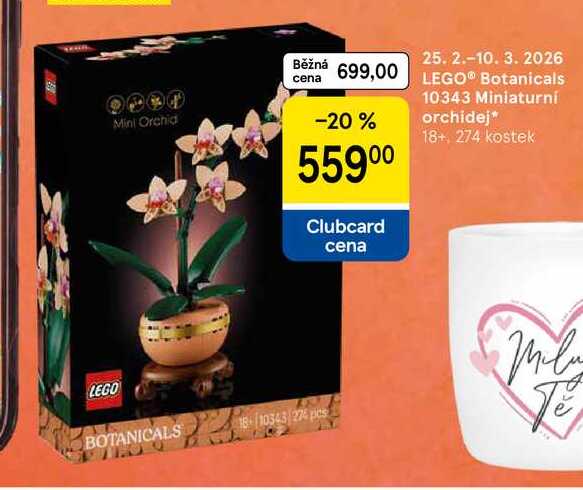 LEGO® Botanicals 10343 Miniaturní orchidej