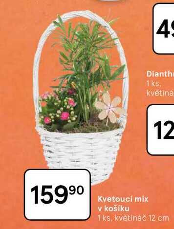 Kvetoucí mix v košíku, 1 ks